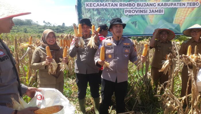 IMG 20250414 WA0003