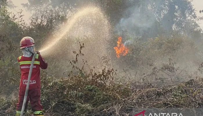 DPW Rampas Setia08 Jambi Sambut Kunjungan KSP AM Putranto, Siap Kawal Program Presiden Prabowo! 2 IMG 9757.jpeg