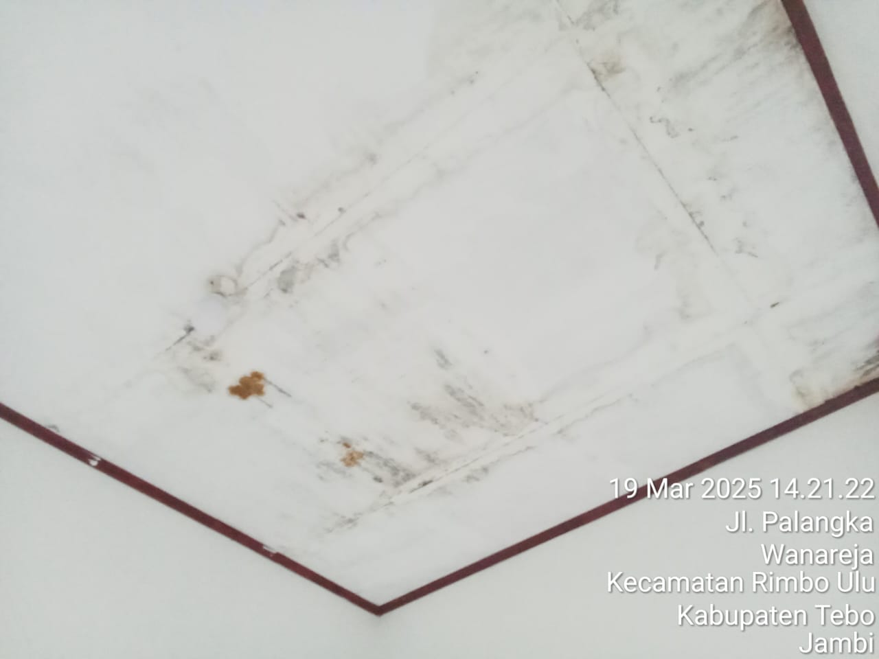 IMG 20250320 WA0002