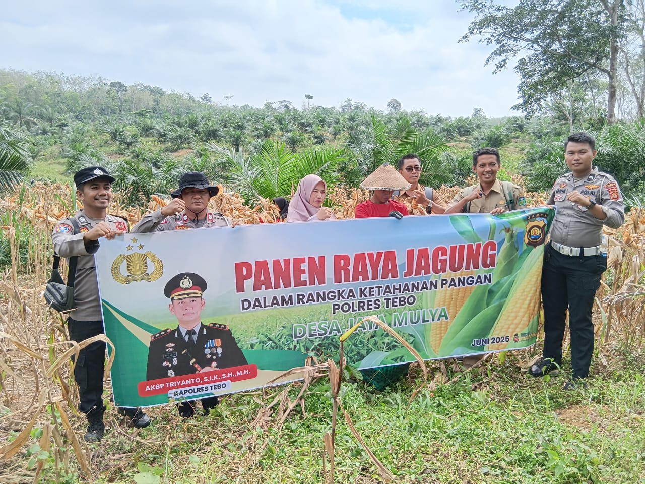 IMG 20250602 WA00031