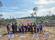 PENANAMAN JAGUNG DI DESA TELUK RENDAH ULU DUKUNG PROGRAM KETAHANAN PANGAN 13 PENANAMAN JAGUNG DI DESA TELUK RENDAH ULU DUKUNG PROGRAM KETAHANAN PANGAN