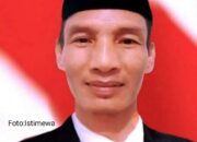 Residivis Narkoba "ELP" Masih Beraksi, PJ Kades Betung Bedarah Timur : Kita Sudah Nasehati dan Berikan Pemahaman 7 Residivis Narkoba “ELP” Masih Beraksi, PJ Kades Betung Bedarah Timur : Kita Sudah Nasehati dan Berikan Pemahaman