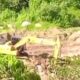IMG 20250625 WA0004