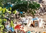 Puluhan Ekskavator Tambang Ilegal Di Pasaman Barat Mengganas Dan Rusak Lingkungan 14 Puluhan Ekskavator Tambang Ilegal Di Pasaman Barat Mengganas Dan Rusak Lingkungan
