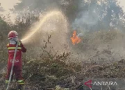 Karhutla di Kampar Riau: Ketika Api Mengancam Desa Karya Indah 12 Karhutla di Kampar Riau: Ketika Api Mengancam Desa Karya Indah