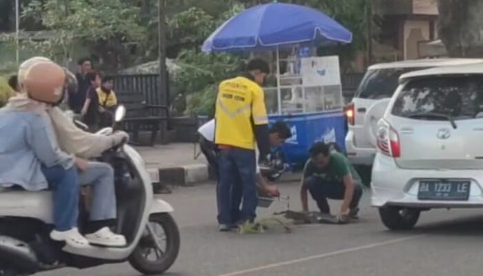 Salut! Driver Ojek Online di Bukittinggi Sumbar Tambal Jalan Berlubang Secara Swadaya
