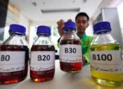 Pemerintah Siap Jalankan Program B50 di 2026, Biodiesel Bakal Kian Nendang!