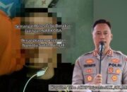 Residivis Sabu Inisial ‘ELP’ Belum Ditangkap, Polres Tebo Diduga Lakukan Tebang Pilih dalam Pemberantasan Narkoba 8 Residivis Sabu Inisial ‘ELP’ Belum Ditangkap, Polres Tebo Diduga Lakukan Tebang Pilih dalam Pemberantasan Narkoba