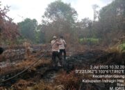 Karhutla Lagi! Petani di Inhil Ditangkap Polisi Usai Bakar Lahan 5 Hektare demi Sawit 10 Karhutla Lagi! Petani di Inhil Ditangkap Polisi Usai Bakar Lahan 5 Hektare demi Sawit