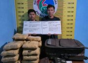 Satres Narkoba Polres Pasaman Ringkus Dua Pengedar Ganja di Jalur Rao-Rokan Hulu Riau