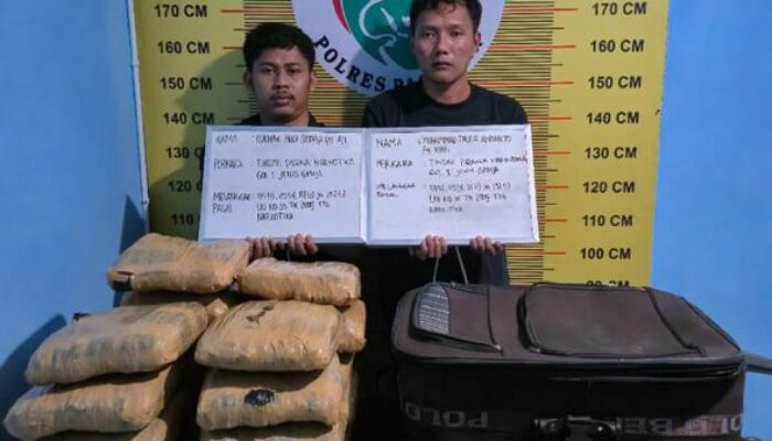 Satres Narkoba Polres Pasaman Ringkus Dua Pengedar Ganja di Jalur Rao-Rokan Hulu Riau