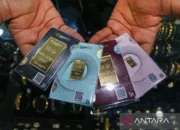 Harga Emas Pegadaian Hari Ini Anteng! UBS dan Galeri24 Kompak Nggak Bergerak 8 Harga Emas Pegadaian Hari Ini Anteng! UBS dan Galeri24 Kompak Nggak Bergerak