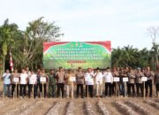 Polres Tebo Jambi Gelar Penanaman Jagung Serentak Kuartal III 2025: Wujud Dukungan Polri terhadap Swasembada Pangan Nasional