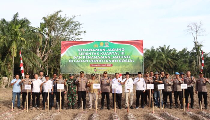 Polres Tebo Jambi Gelar Penanaman Jagung Serentak Kuartal III 2025: Wujud Dukungan Polri terhadap Swasembada Pangan Nasional