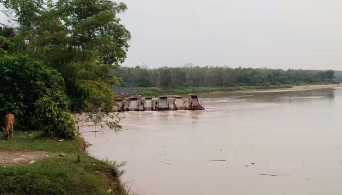 50 Rakit PETI Mengganas di Pulau Sipan Inuman Kuansing, Diduga Bungkam Aparat!