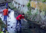 Wali Kota Bukittinggi Dukung Aksi Bersih Lewat Gotong Royong: Fokus Kurangi Sampah Plastik di Sungai 9 Wali Kota Bukittinggi Dukung Aksi Bersih Lewat Gotong Royong: Fokus Kurangi Sampah Plastik di Sungai