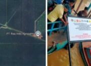 Plang Eksekusi Dikirim ke PT RIA, Tapi Lahannya Sudah Dipanen Duluan? Warga Tembilahan Bertanya-tanya