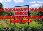 Plang PKH di Lahan PT RSUP Cuma Simbol? Negara Ditantang Anak Usaha Sambu Group di Inhil! 8 Plang PKH di Lahan PT RSUP Cuma Simbol? Negara Ditantang Anak Usaha Sambu Group di Inhil!