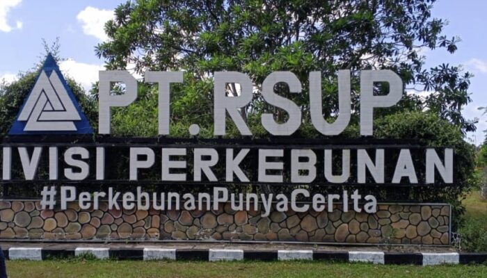 Kejati Riau Pastikan 237 Hektare Lahan PT RSUP Masuk Kawasan Hutan: Aktivitas Perusahaan Jadi Sorotan