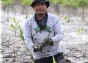 Pak De Zainal: Si Rajalesa dari Pesisir Inhil, Penjaga Mangrove dan Penanam Harapan