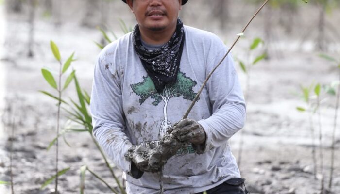 Pak De Zainal: Si Rajalesa dari Pesisir Inhil, Penjaga Mangrove dan Penanam Harapan