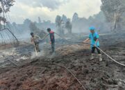 Polres Inhil Tangkap Pelaku Pembakaran Lahan di Gaung, 5 Hektare Lahan Gambut Hangus