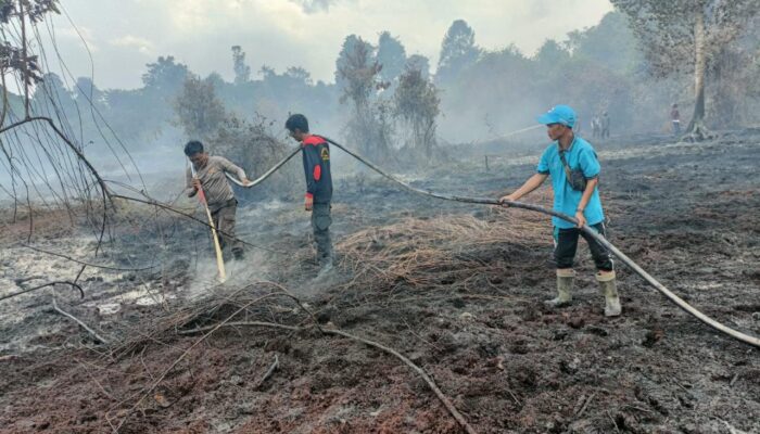 Polres Inhil Tangkap Pelaku Pembakaran Lahan di Gaung, 5 Hektare Lahan Gambut Hangus