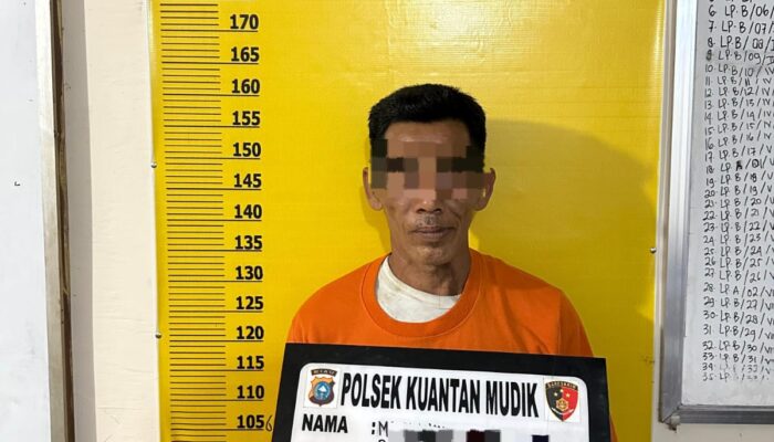 Aniaya Istri Brutal dengan Kayu, Pria di Kuansing Riau Ditangkap Polisi Kurang dari 1 Jam