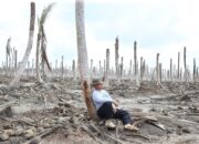 Hari Mangrove Sedunia 2025 di Belaras Barat: Anak Muda, Budaya, dan Edukasi Jadi Senjata Jaga Pesisir 12 Hari Mangrove Sedunia 2025 di Belaras Barat: Anak Muda, Budaya, dan Edukasi Jadi Senjata Jaga Pesisir