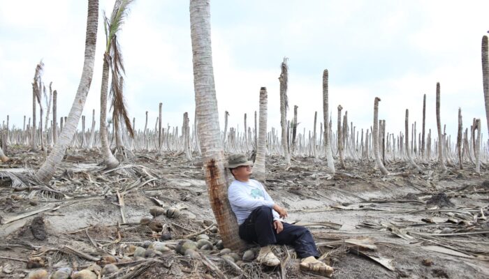 Hari Mangrove Sedunia 2025 di Belaras Barat: Anak Muda, Budaya, dan Edukasi Jadi Senjata Jaga Pesisir