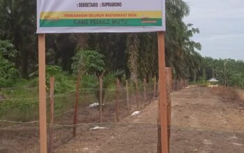 Jagung Pipil Rp124 Juta di Desa Air Emas, Efektif atau Mubazir?