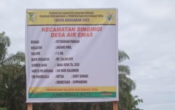 Jagung Pipil Rp124 Juta di Desa Air Emas, Efektif atau Mubazir?