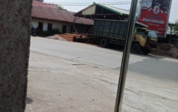 Maraknya Bangsal Kayu di Tembilahan Diduga Hasil Ilegal Logging, Oknum APH Disebut Terlibat