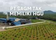 PT SAGM Diduga Tak Miliki HGU Hingga Abaikan Kewajiban Pajak
