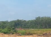 Tambang Ilegal Marak di Kasang Limau Sundai: 60 Rakit PETI Beroperasi, Kapolsek Kuantan Hilir Bungkam Saat Dikonfirmasi