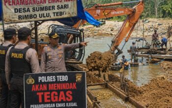 Tambang Emas Ilegal di Rimbo Ulu Semakin Merajalela, Kapolres Tebo di Minta Bertindak Tegas