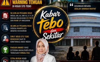 BPK RI Audit RSUD STS Tebo Dugaan Ada Temuan