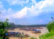 DIDUGA RAZIA BOCOR: Usai Penertiban, Ratusan Peti Tambang Ilegal di Teluk Langkap Langsung Beroperasi Kembali