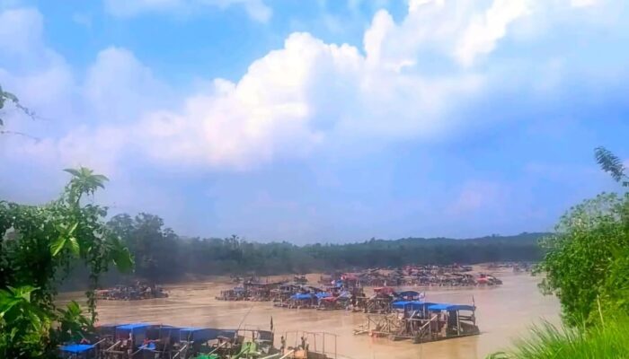 DIDUGA RAZIA BOCOR: Usai Penertiban, Ratusan Peti Tambang Ilegal di Teluk Langkap Langsung Beroperasi Kembali