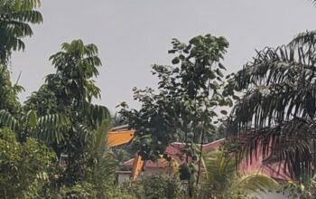 Ekskavator Menggila di Merbau Kari, PETI Diduga Bermodal Besar Dikuasai Inisial ISUP Beroperasi Terbuka, Hukum ke Mana?