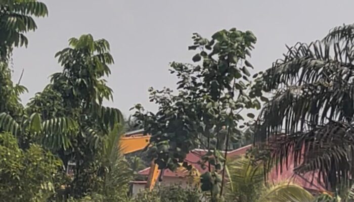 Ekskavator Menggila di Merbau Kari, PETI Diduga Bermodal Besar Dikuasai Inisial ISUP Beroperasi Terbuka, Hukum ke Mana?